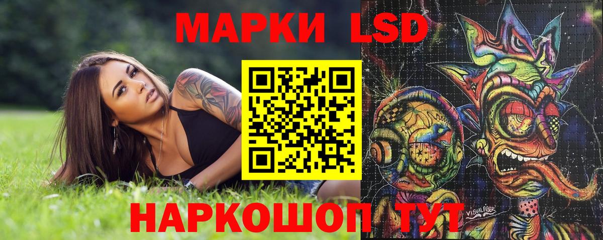 Галлюциногенные грибы Большой Камень